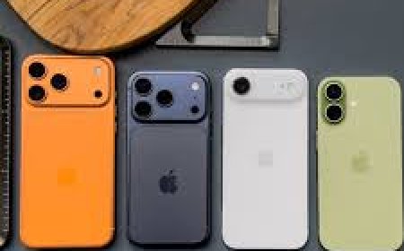 The African Kitchen: Essential Ingredients